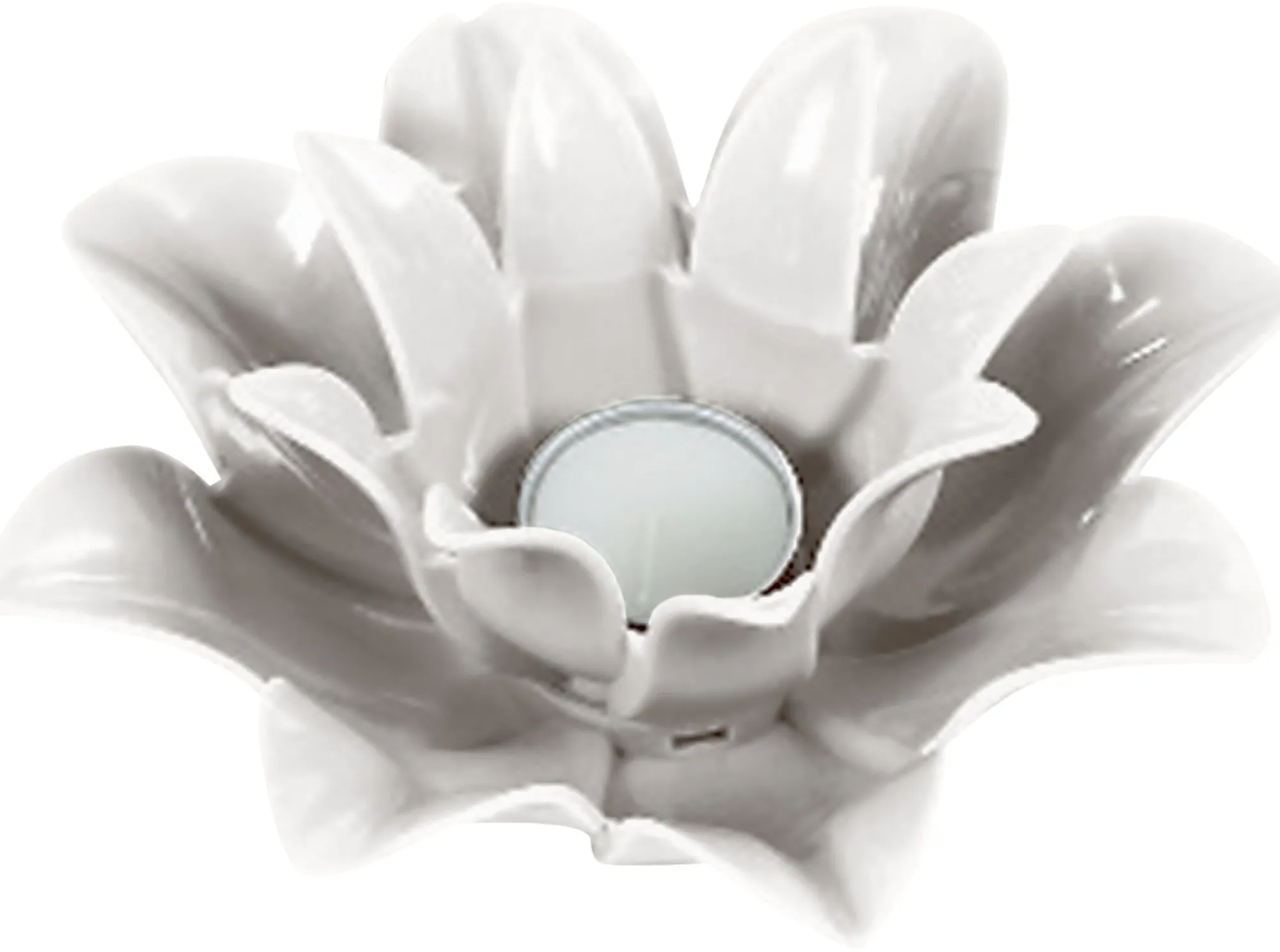 Coolsplash blomsterlys hvid