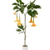 Homeville Kunstig Daturatræ orange 140 cm