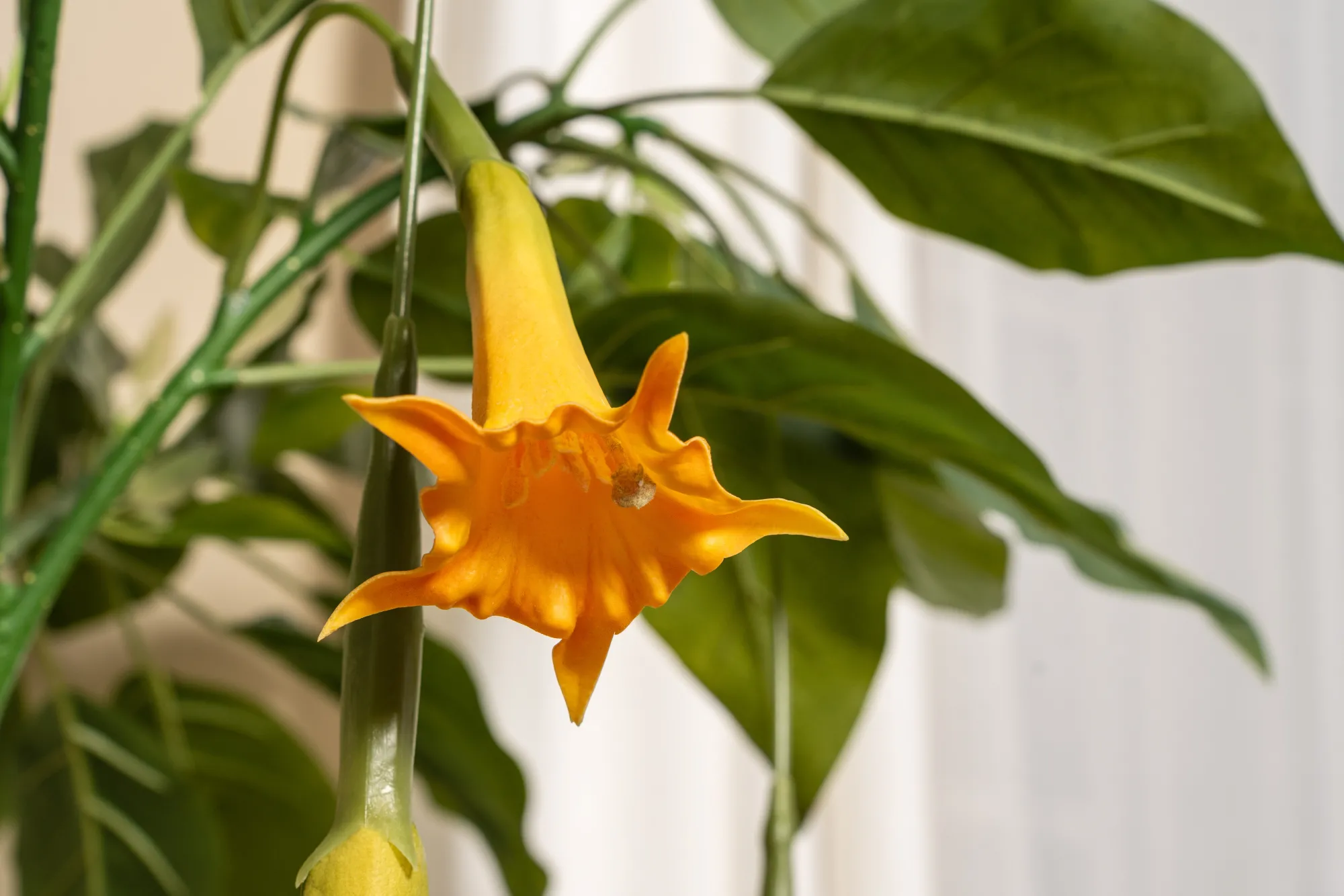 Homeville Kunstig Daturatræ orange 140 cm