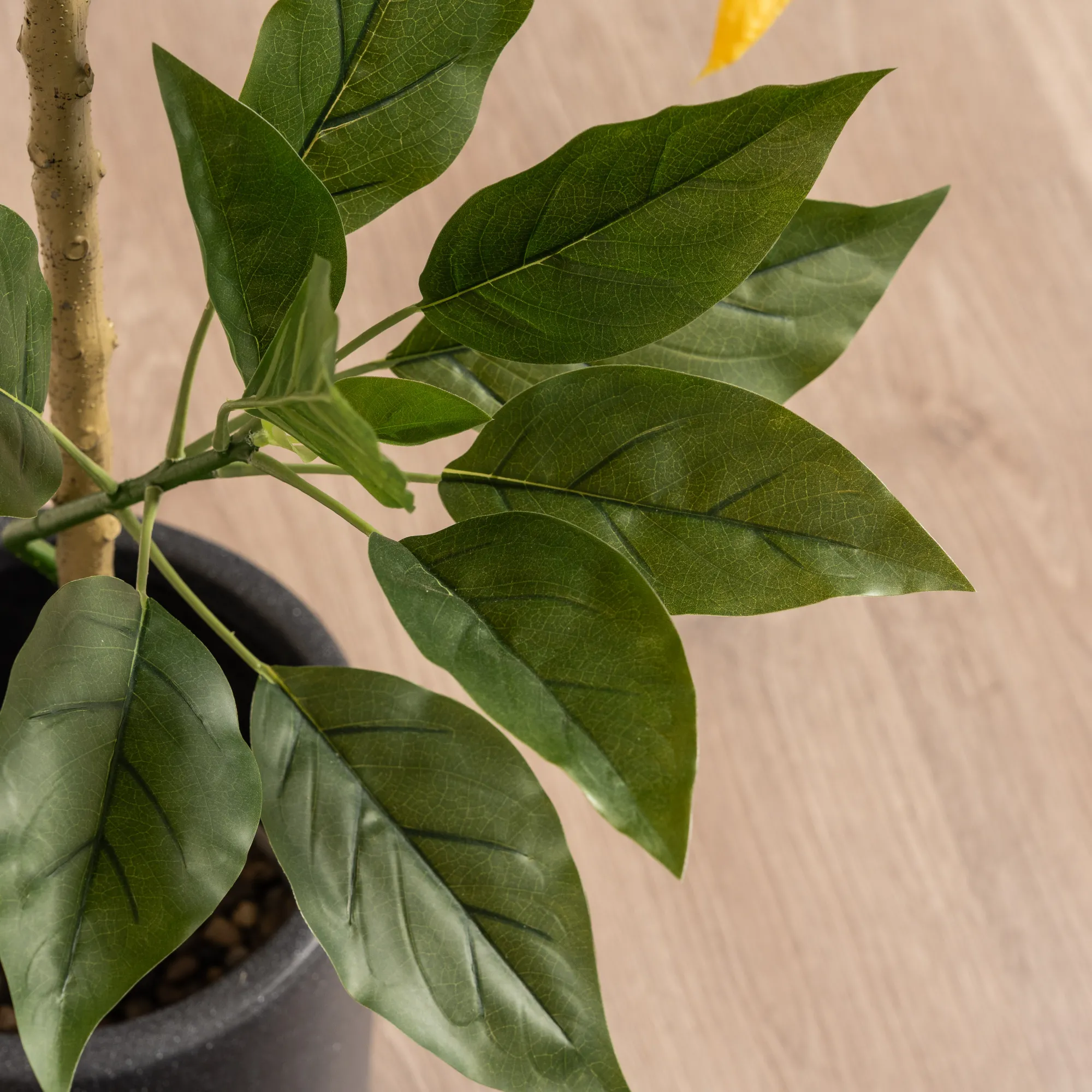 Homeville Kunstig Daturatræ orange 120 cm