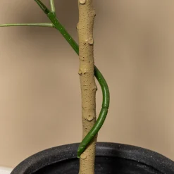 Homeville Kunstig Daturatræ orange 120 cm