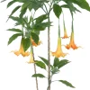 Homeville Kunstig Daturatræ orange 140 cm