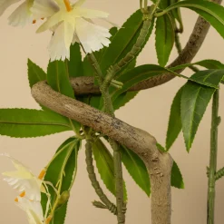 Homeville Kunstig Elaeocarpus-blomstertræ 100 cm