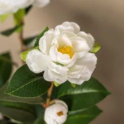 Homeville Kunstig kamelia japansk rosetræ hvid 90 cm