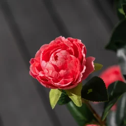 Homeville Kunstig kamelia japansk rosetræ lyserød 90 cm