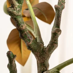 Homeville Kunstig magnolia-blomstertræ 120 cm