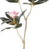 Homeville Kunstig magnoliatræ 80 cm