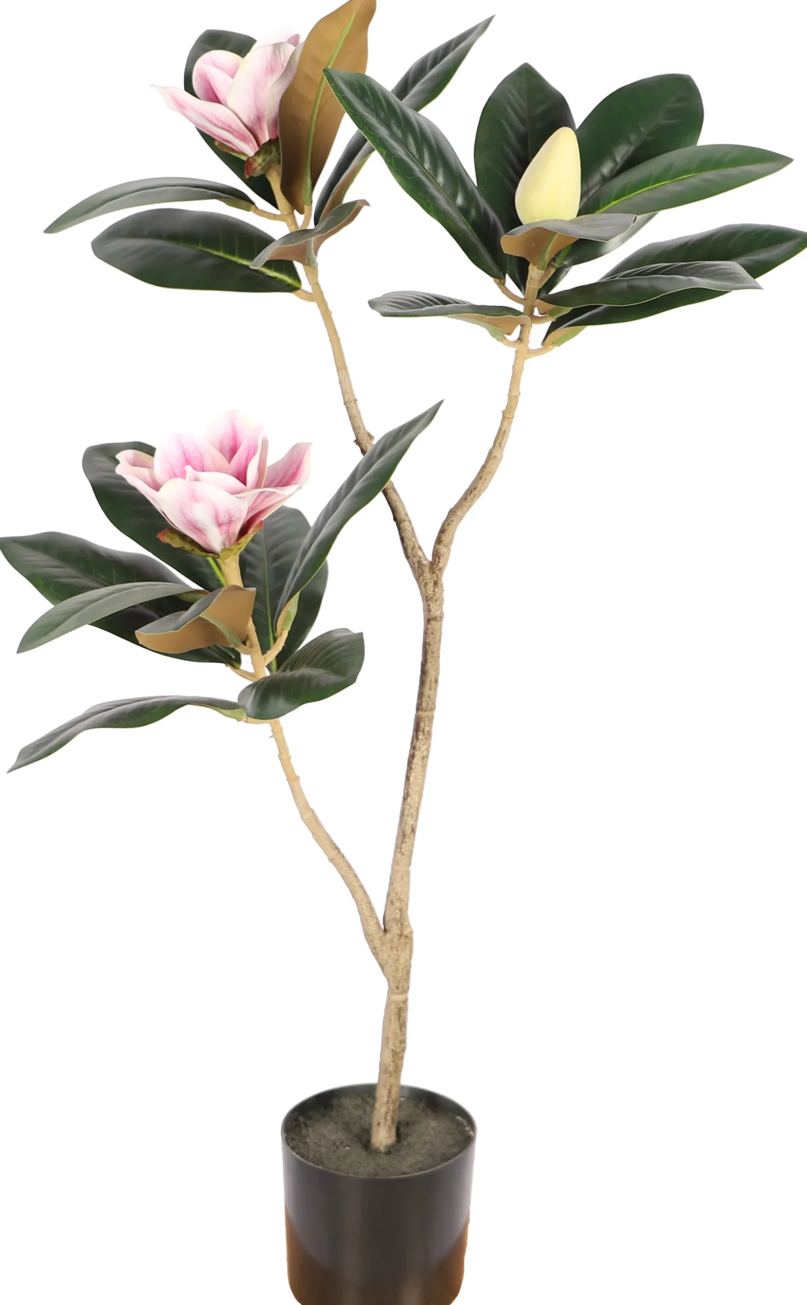 Homeville Kunstig magnoliatræ 80 cm
