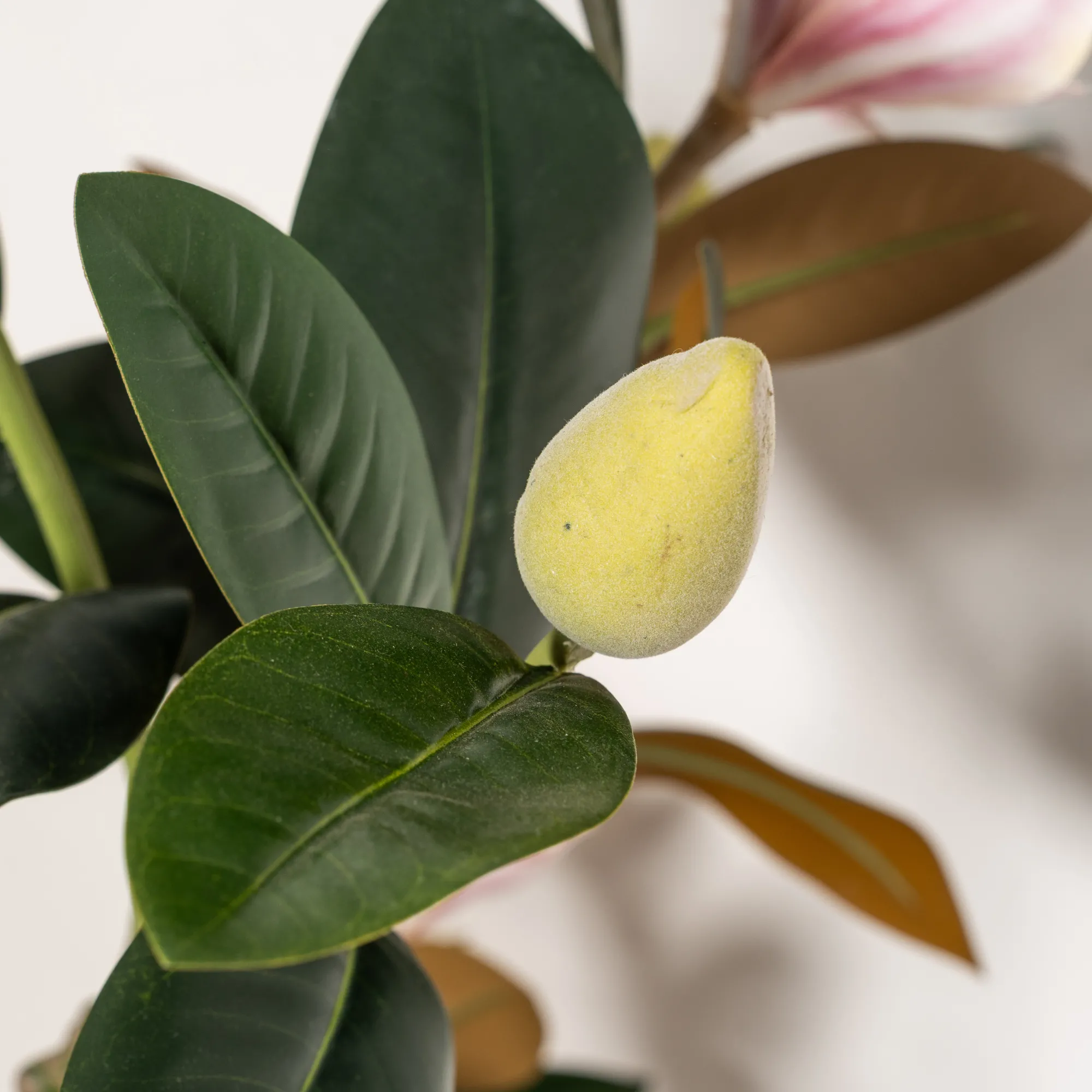 Homeville Kunstig magnoliatræ 80 cm