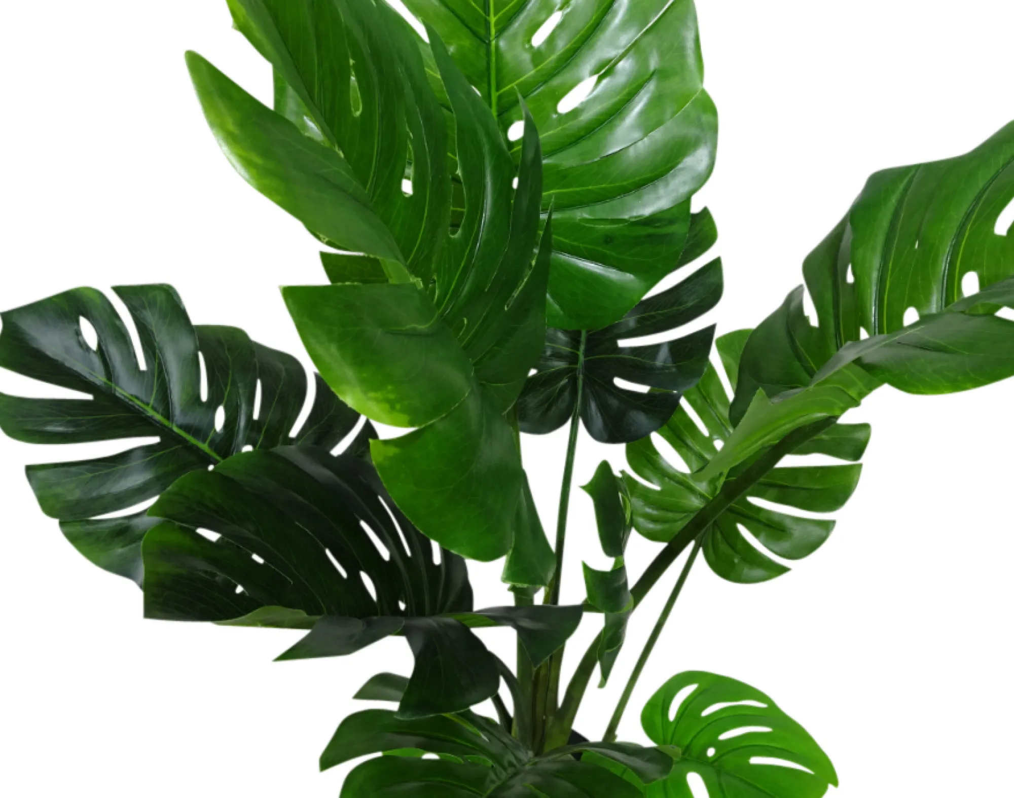 Homeville Kunstig Monstera 160cm