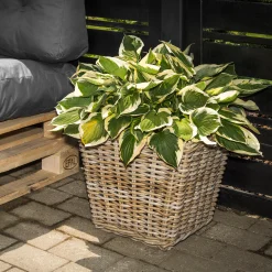 Homeville Kurv firkantet med håndtag 45x45x38cm