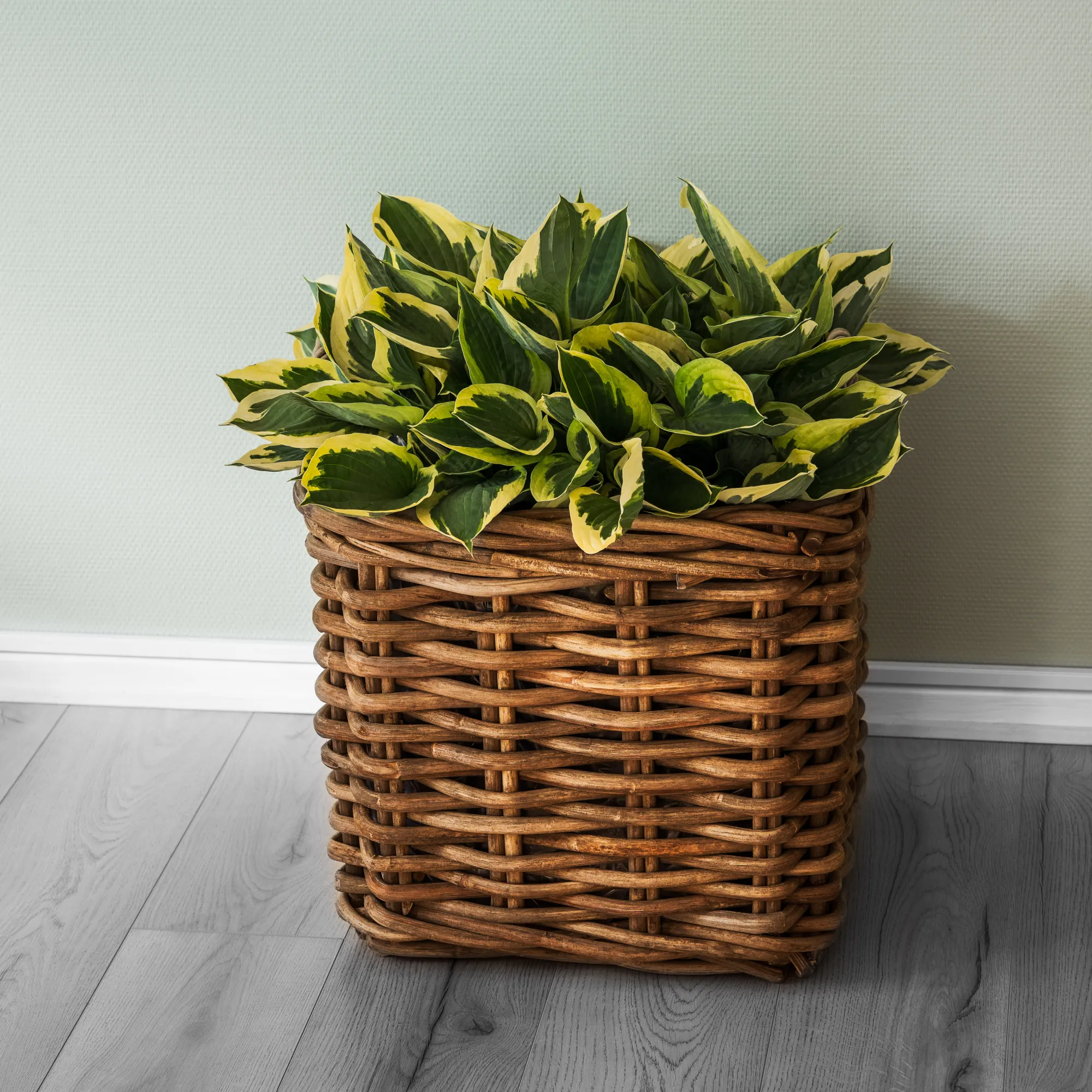 Homeville Kurv firkantet med håndtag 48x48x45cm