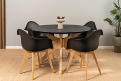 Homeville Lucas sort/natur