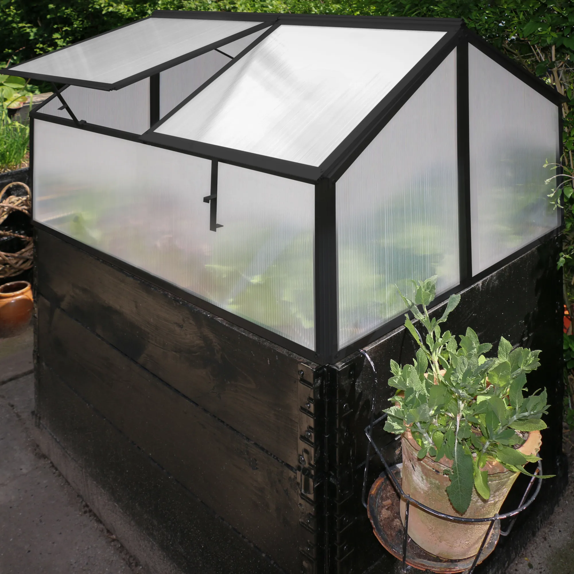 Moreland Minidrivhus sort 120x80x67cm
